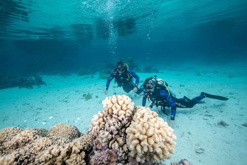 Plongée sous-marine dans le lagon de Bora Bora